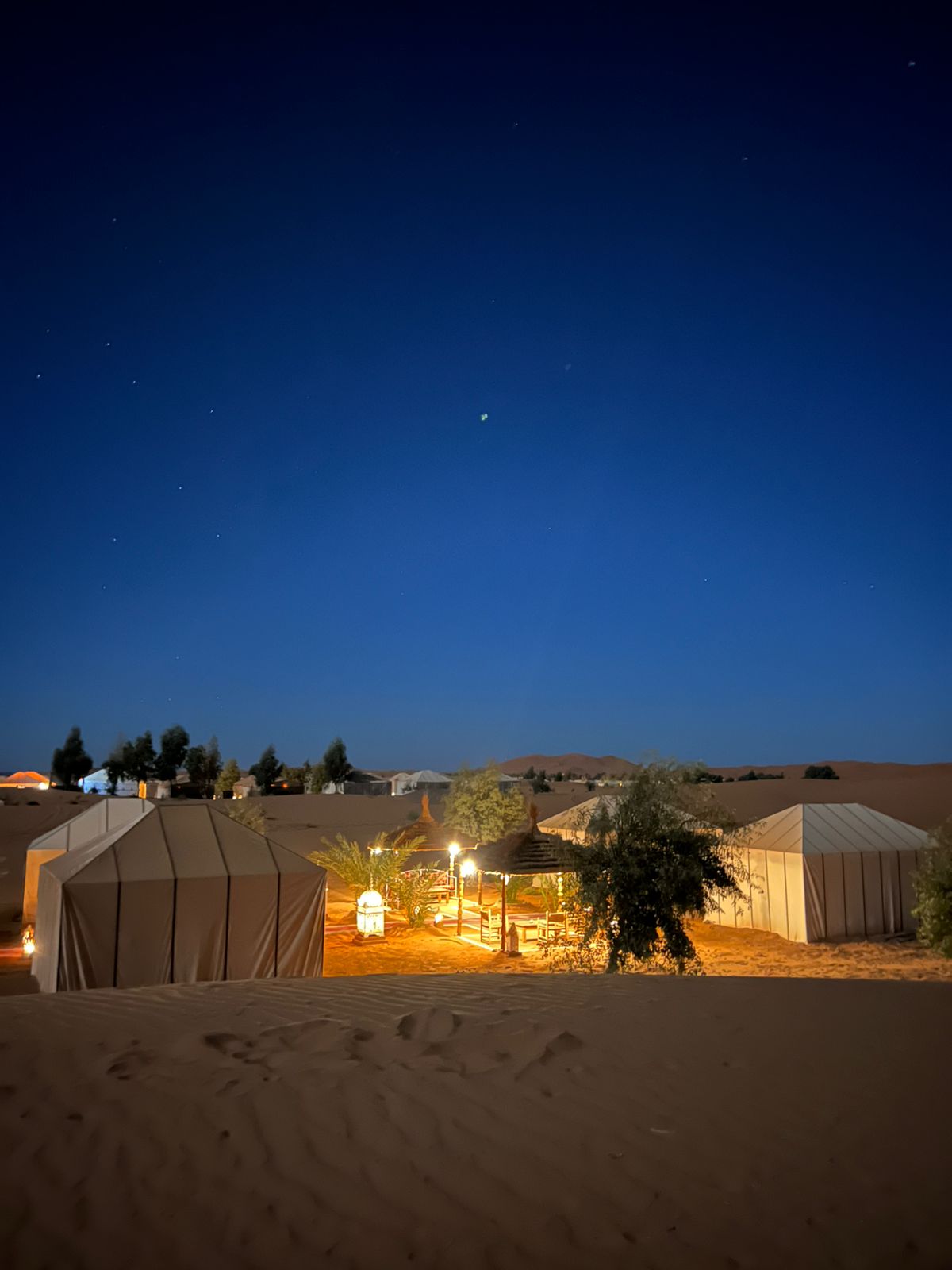 Desert Camp Night